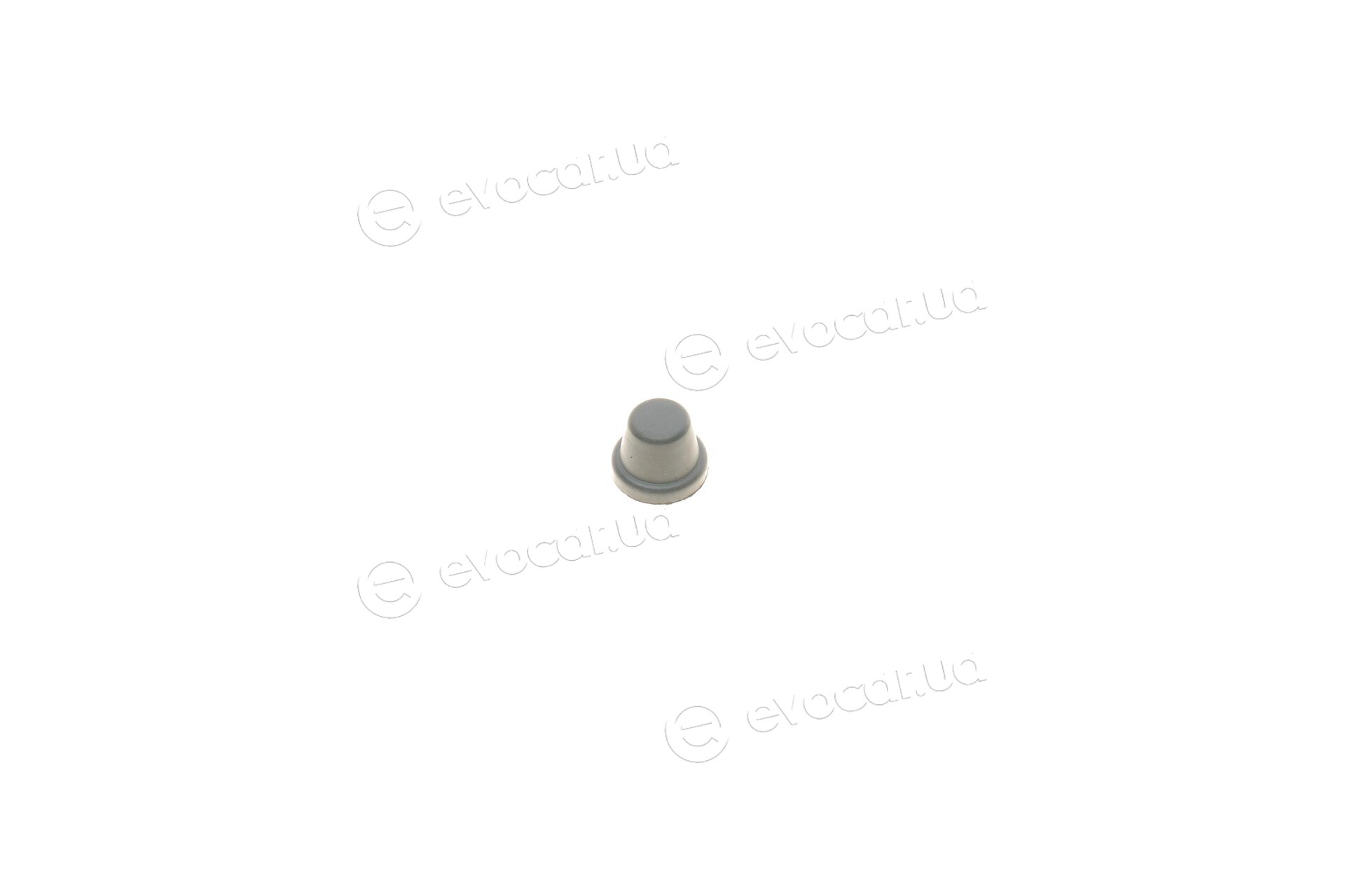 Frenkit 232022