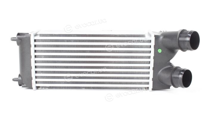 Kale 344400