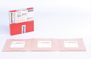 Mahle 001 01 V2