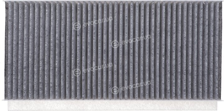 Solgy 104106