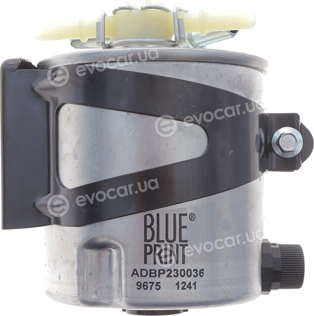 Blue Print ADBP230036