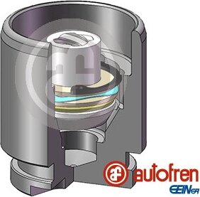 Autofren D025119K