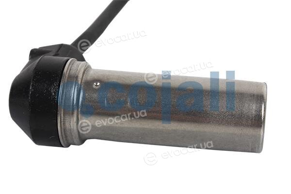 Cojali 2260054