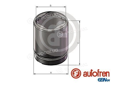 Autofren D025659