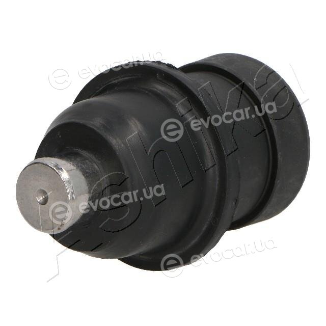 Ashika 73-0C-C06