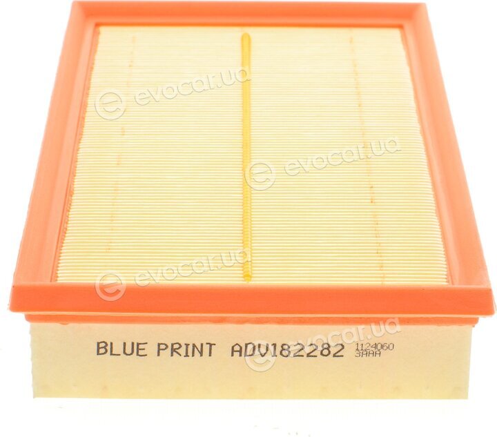 Blue Print ADV182282