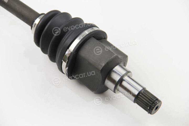 BGA DS2301L