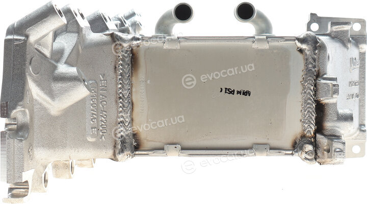 Van Wezel 58004376