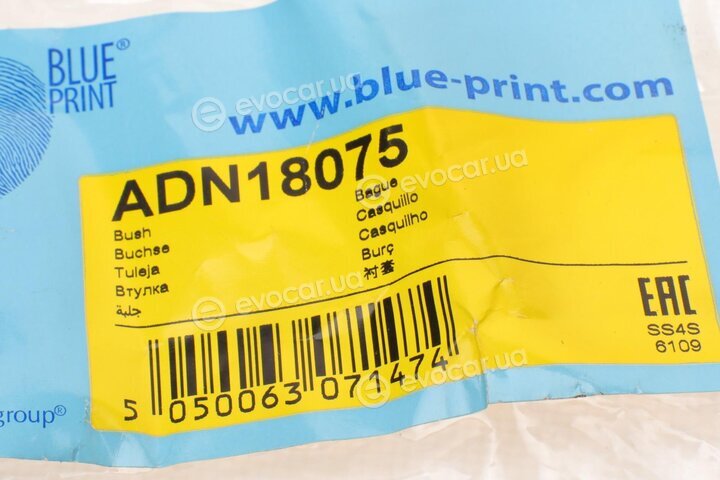 Blue Print ADN18075