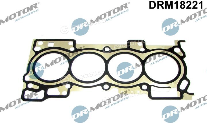 Dr. Motor DRM18221