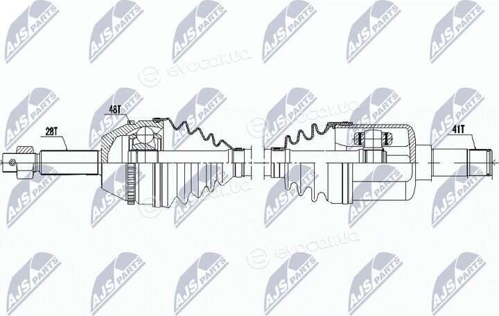 NTY NPW-FR-062