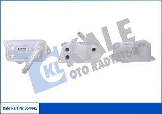 Kale 354445