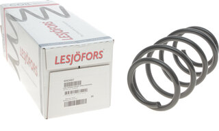 Lesjofors 4063467