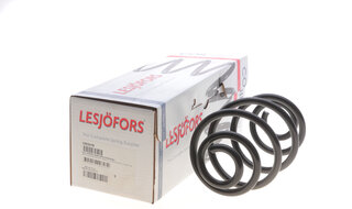 Lesjofors 4263478