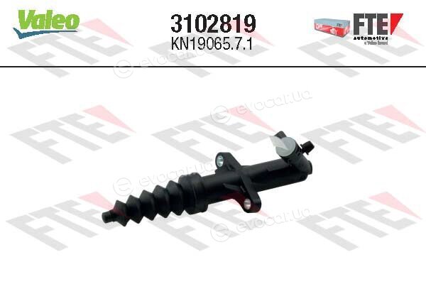 FTE 3102819