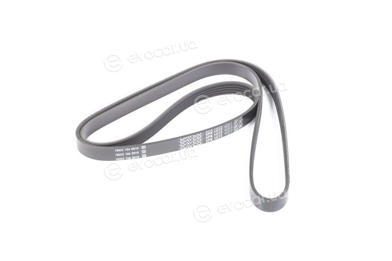 Dayco 5PK1572