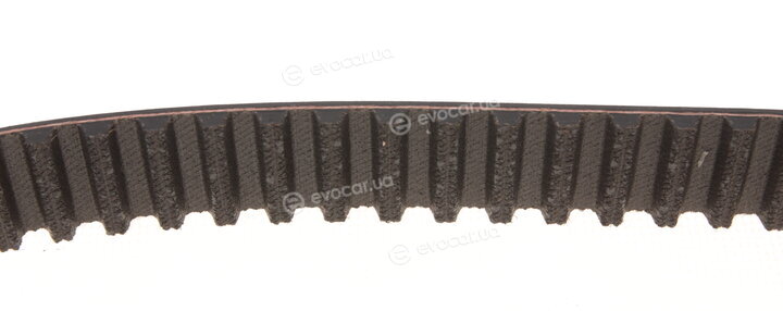 Gates K025547XS
