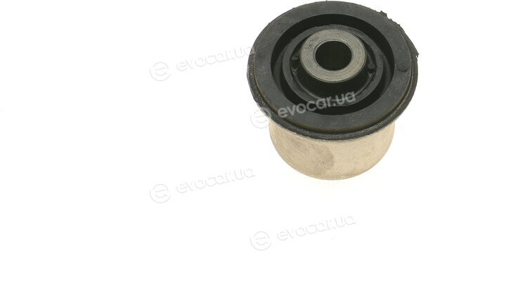 AIC 50381