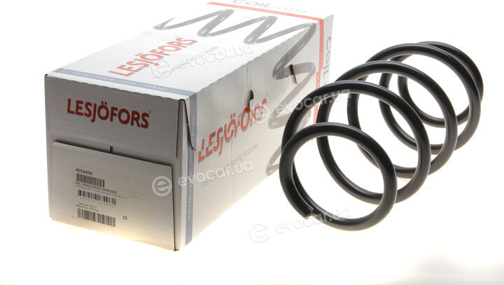 Lesjofors 4056890