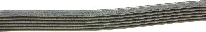 Continental 6PK1033