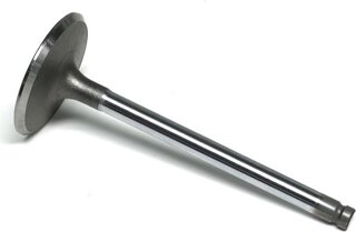 Gunes 4046