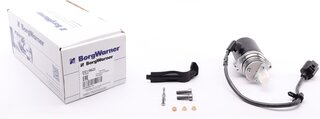 BorgWarner DS118622