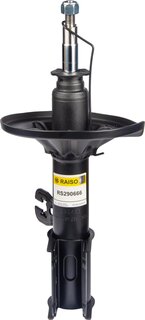 Raiso RS290666