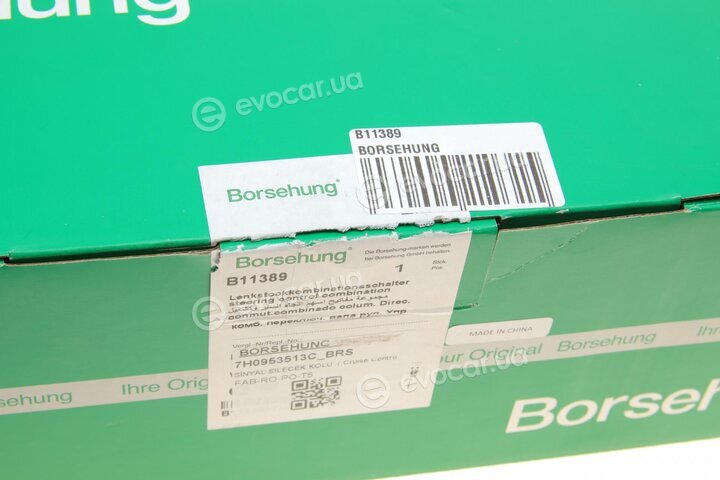 Borsehung B11389