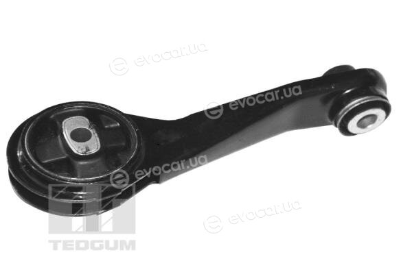 Tedgum TED84313