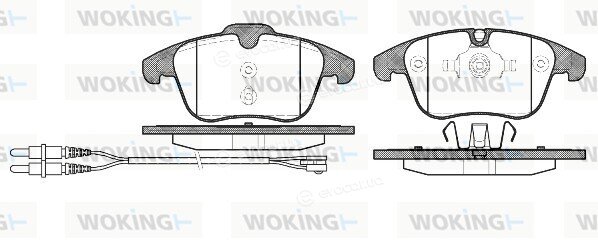 Woking P13493.01