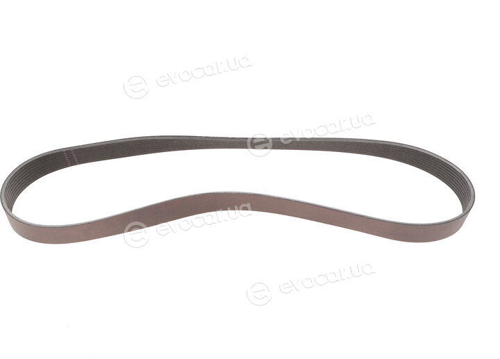 Gates 8PK1120EST