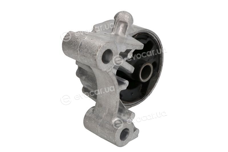 Reinhoch RH112187