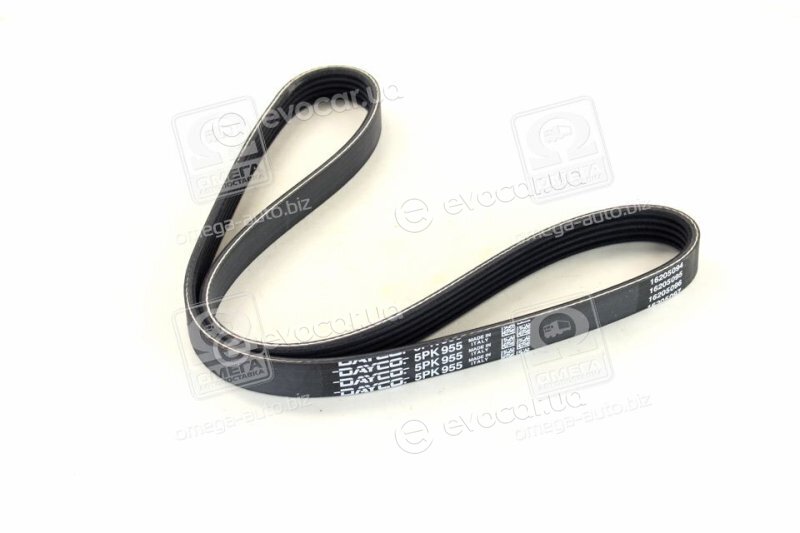 Dayco 5PK955