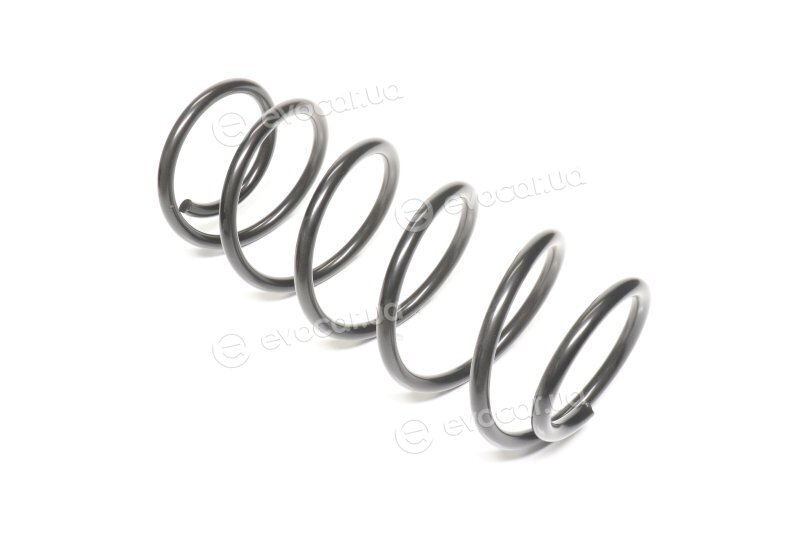 Lesjofors 4063430