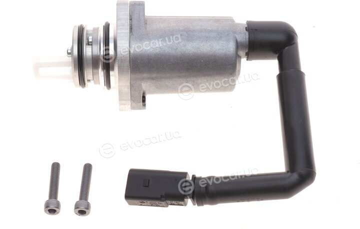BorgWarner DS118574
