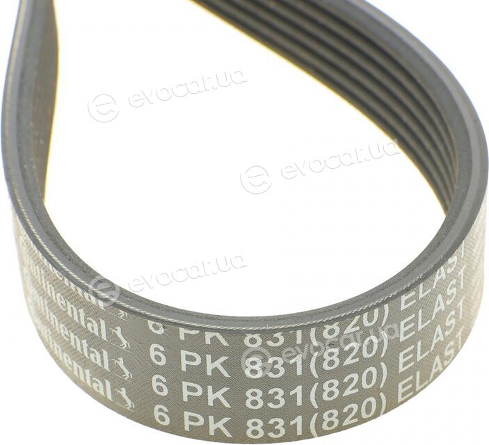 Continental 6PK831 ELAST T1