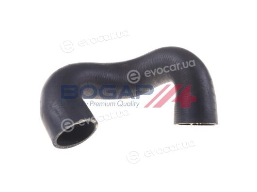 Bogap B4228179