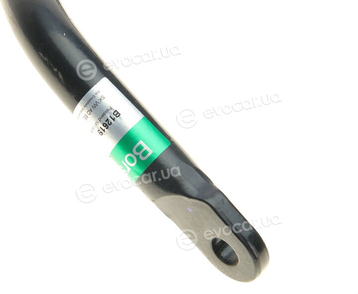 Borsehung B12619