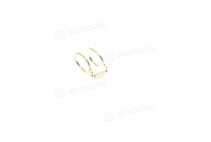 Elring 631.880