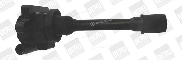 Beru ZSE179