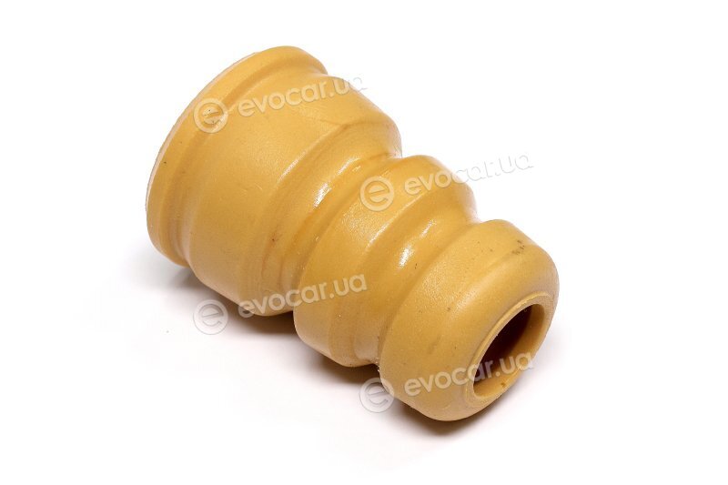 Sasic 2650045