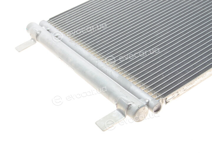 Van Wezel 58005335