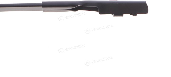 Solgy 307068