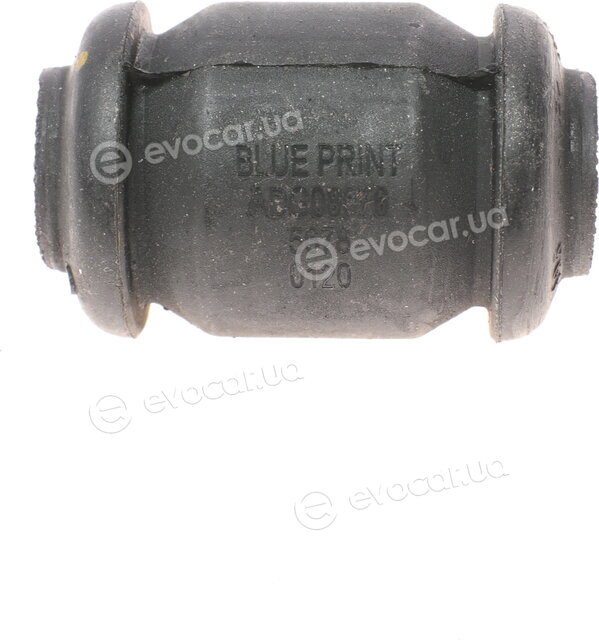Blue Print ADG08076