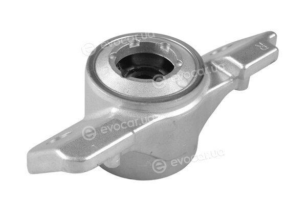 Tedgum TED50032