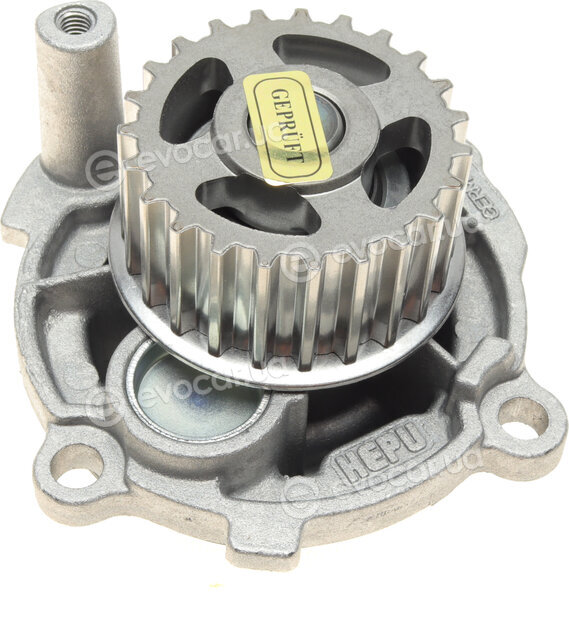 Hepu P545