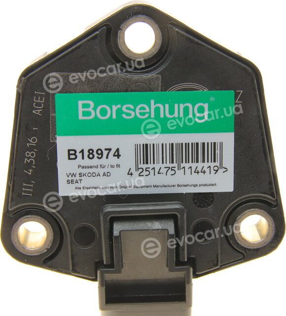 Borsehung B18974