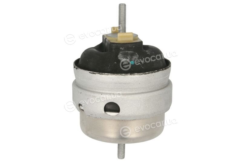 Reinhoch RH11-0162
