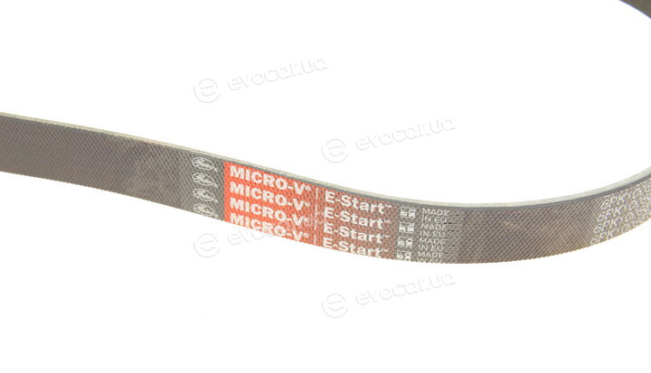 Gates 6PK1005EST