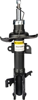 Raiso RS316894